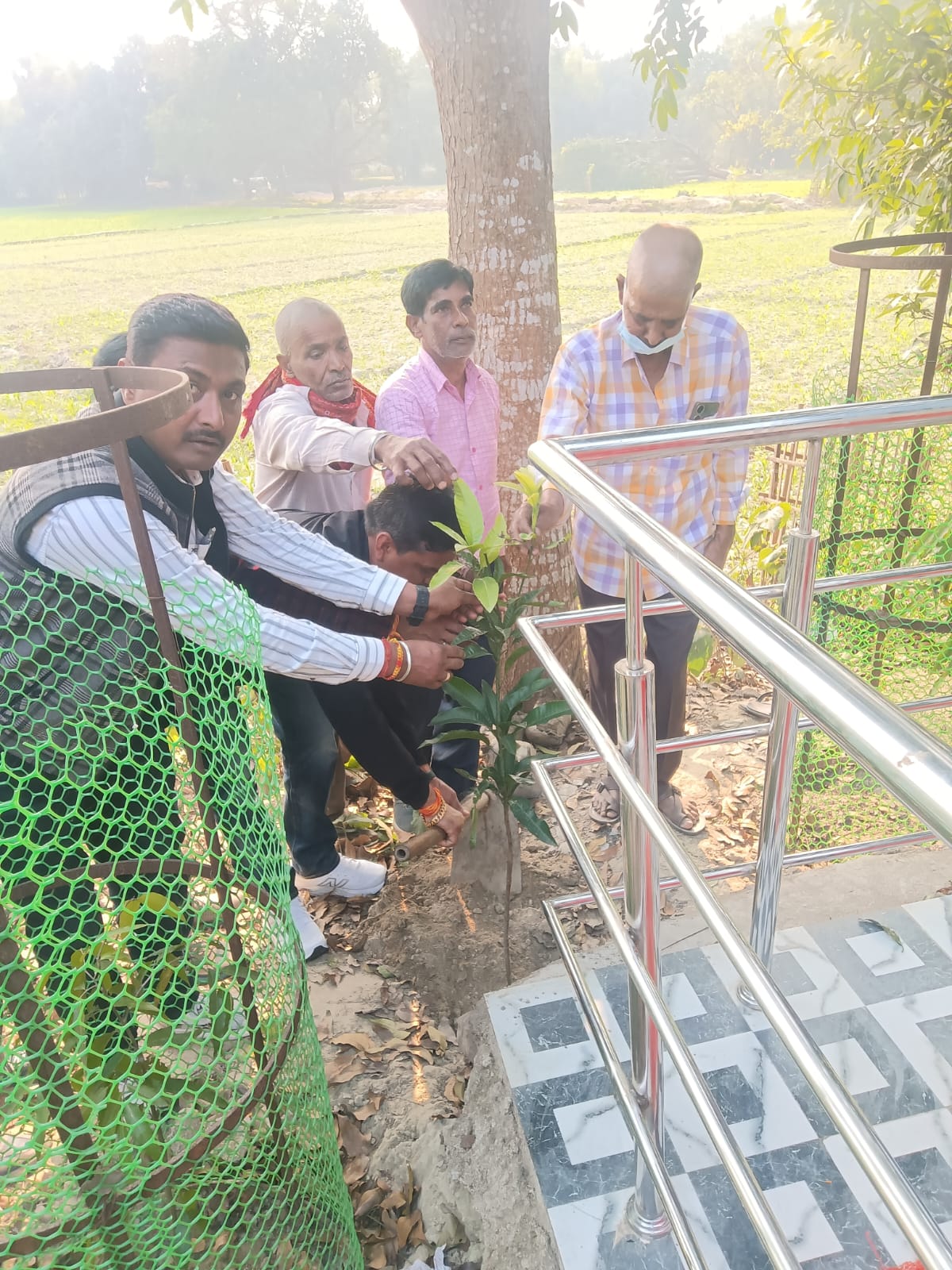 Tree Plantation & Environment